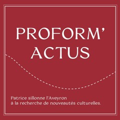 Proform'actu - l'artistes Jeanne Vicerial expose au musée Soulages
