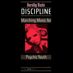 discipline (throbbing gristle cover)