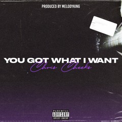 You Got What I Want