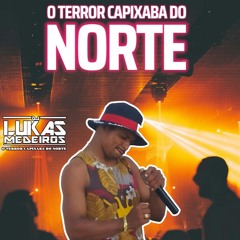 MEGA SEQUÊNCIA DO ROGIN (DJ LUKAS MEDEIROS)