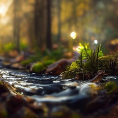 Merge With Nature