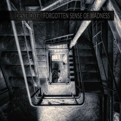 Destroyer - Forgotten Sense Of Madness [free download]