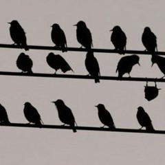 MAGNET FINGER remaster