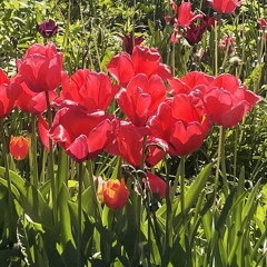 make me better (you)