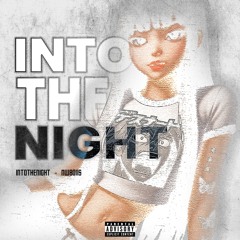 Into the night - Nwboiis (prod. borgiolini)