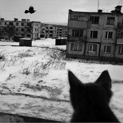 Saccharine ( Frenchcore )