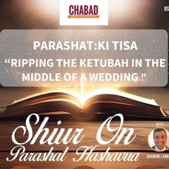 “RIPPING THE KETUBAH IN THE MIDDLE OF THE WEDDING “ - PARASHAT KI TISA - Sharone Lankry 5784