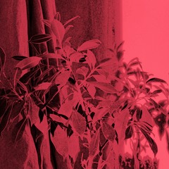 a light passing through the sieve