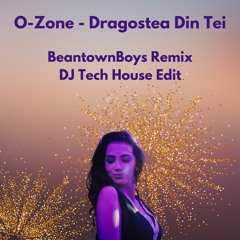 O - Zone - Dragostea Din Tei (BeantownBoys Remix - Tech House DJ Edit)