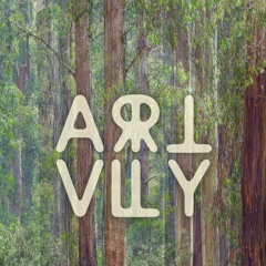 Shepz - Art Valley 2024 NYE