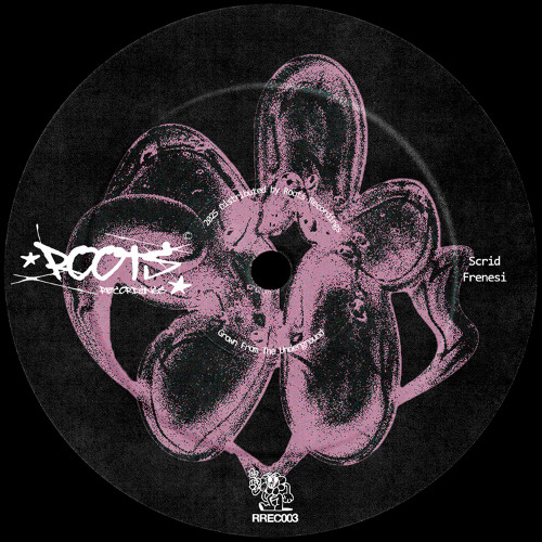 Scrid - Frenesi