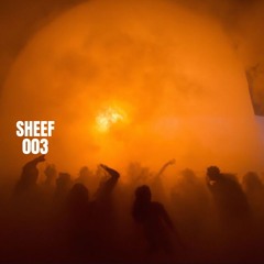 SHEEF | Set #003 - 24.10.24