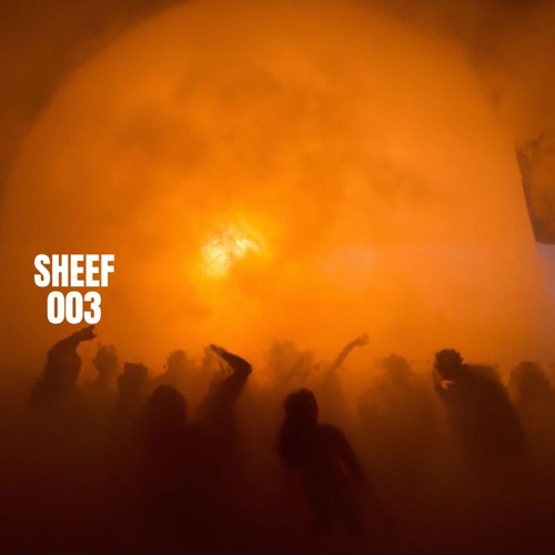 SHEEF | Set #003 - 24.10.24