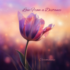 Love From a Distance