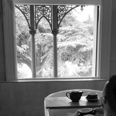 Looking For The Light