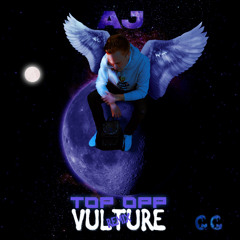TOPP OPP VULTURE (remix) prod. frankgotthepack