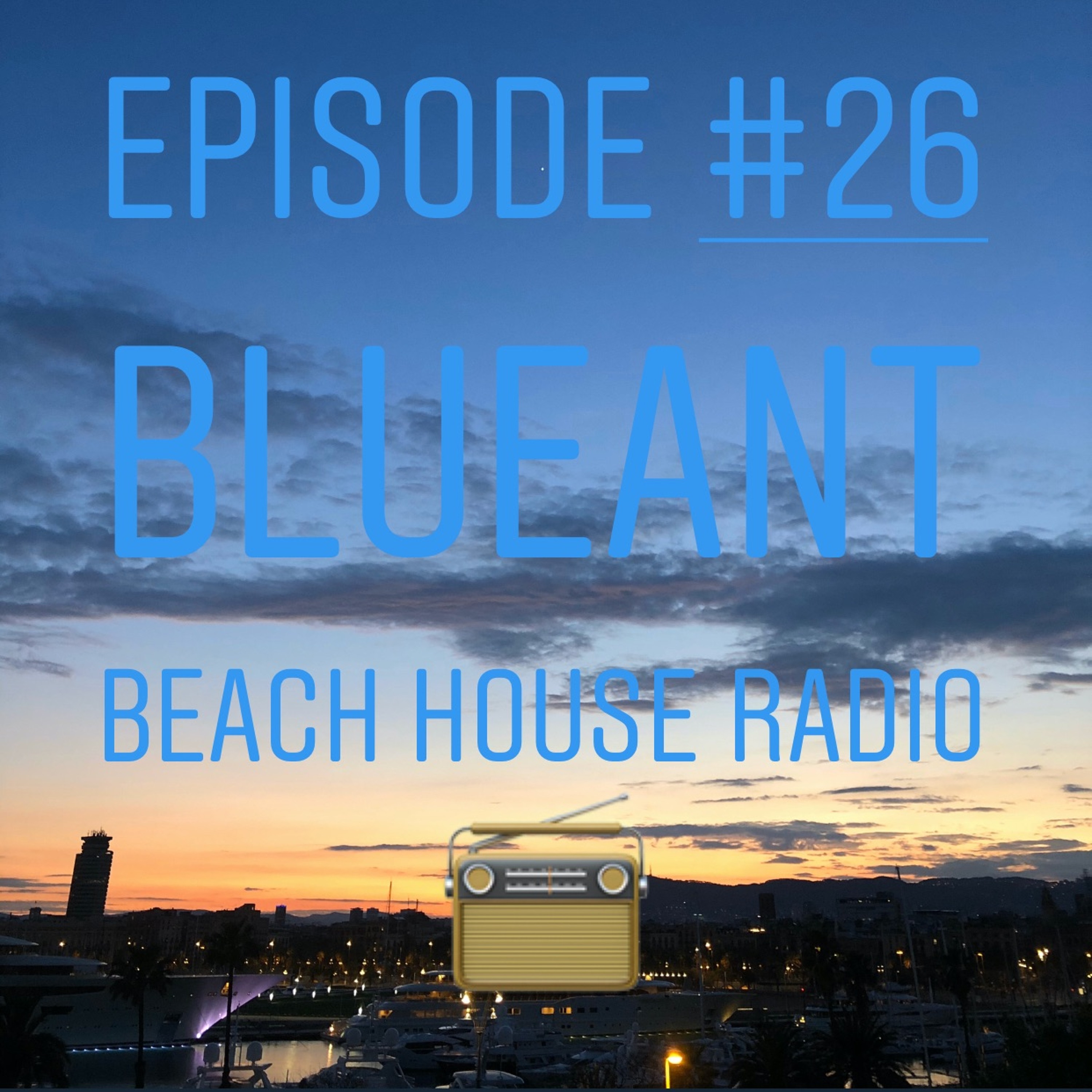 BlueAnt Beach House Radio