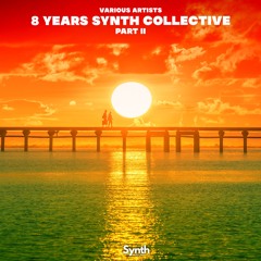 Various Artists -  8 Years Synth Collective (Part II)
