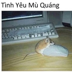 tinh iu mu wang