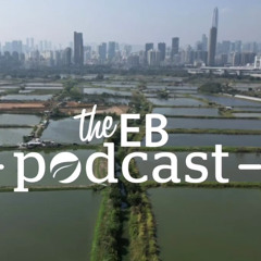 ‘Listen to ecologists – don’t bury nature under cement’: Hong Kong faces acute biodiversity loss as megaprojects loom