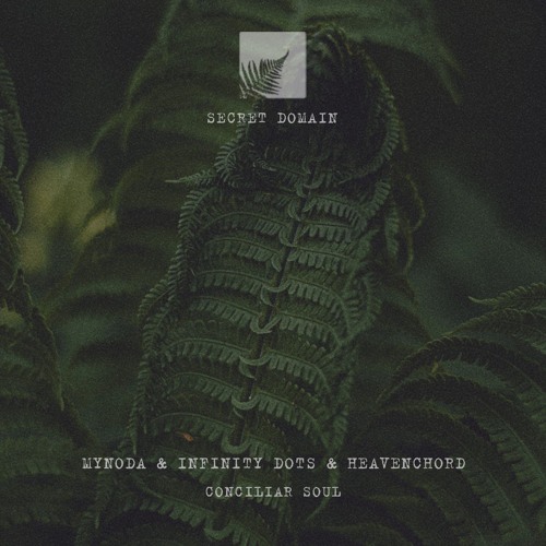 Mynoda & Infinity Dots & Heavenchord - Conciliar Soul [ Secret Domain #68 ]