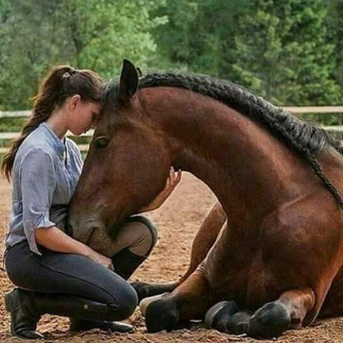 ميحد حمد يا خفيف الروح