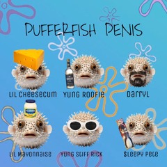 Pufferfish Penis!