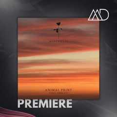PREMIERE: Animal Print - Final Embrace Feat. Amin Salmee (Extended Version) [Black Rose]