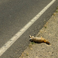 u can close the door but please don’t lock it