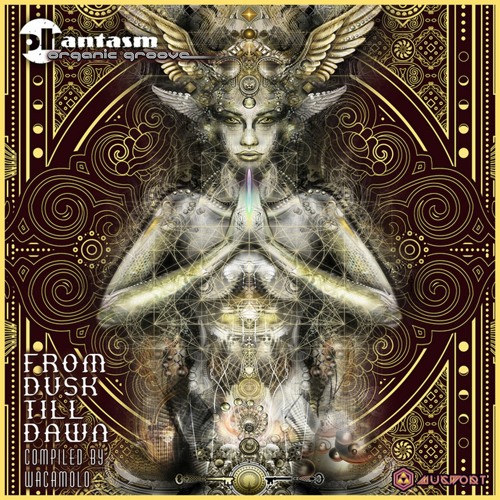 Red Frog (Original Mix)