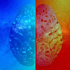 Duel Reality (Fighting Game Loop)