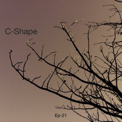 Ep - 21 2 (full EP on Bandcamp)