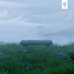 Daily Drops 05/12