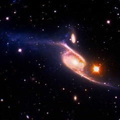 Ambient #148