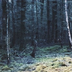 The Last of Us Inspired Soundtrack (unfinished)