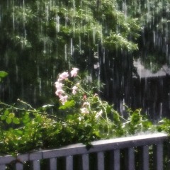 rain hit my window (prod. michael harrison)
