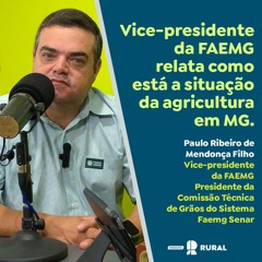 Vice-presidente da FAEMG relata como está a situação da agricultura em MG