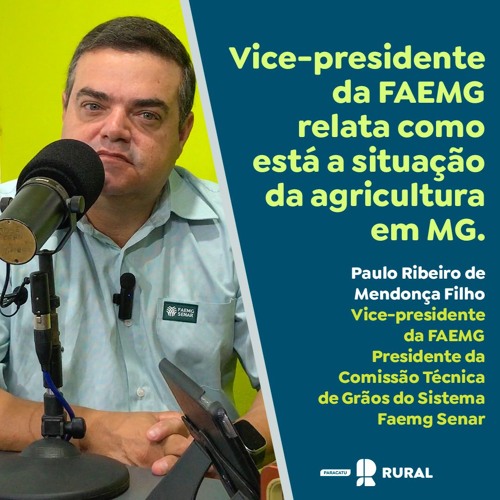 Vice-presidente da FAEMG relata como está a situação da agricultura em MG