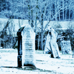 leni - crystal castles (XIMERMJ Remix)