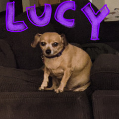 LUCY