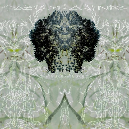 Tazmanics - Cosmic Girl V2 230Bpm