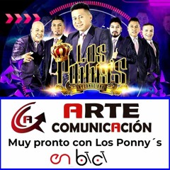 VAS A LLORAR LOS PONNYS 2020 EDI DJ REMIX