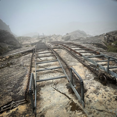 dp - монохром* (20240911)