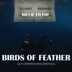 Billie Eilish - Birds of Feather (K1N Hypertechno bootleg)
