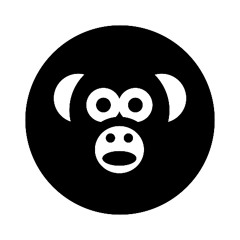 Den solidariska flottiljen