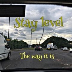 Stay Level The Way It Is