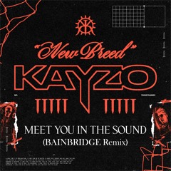 KAYZO x PhaseOne - MEET YOU IN THE SOUND (feat. Aaron Pauley) (BAINBRIDGE Remix)
