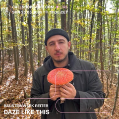 Daze Like This w/ Bausteinwerk Reiter 25.05.25