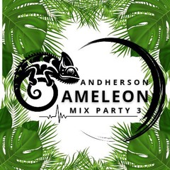 ANDHERSON CAMELEON PARTY 3