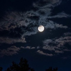 midnight